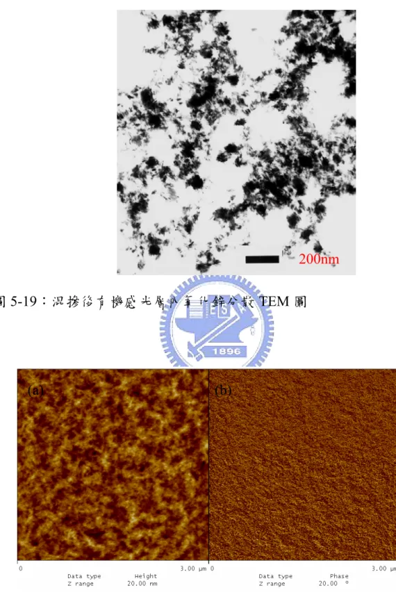 圖 5-19：混摻後有機感光層內氧化鋅分散 TEM 圖 