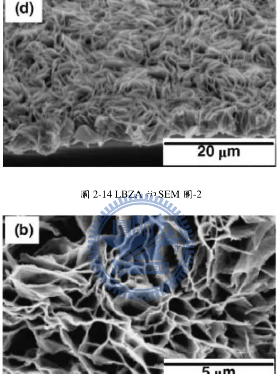 圖 2-15 LBZA 鍛燒後的 SEM 圖 