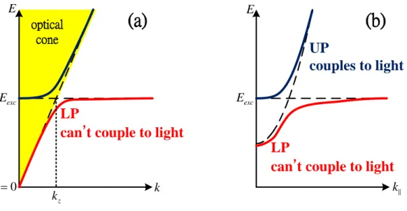 Fig 1.2 (a) the dispersion of bulk polariton (b) the dispersion of microcavity polariton 