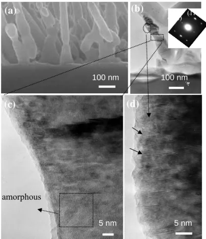 Fig. 3. (a) High-magnification SEM and (b) low-magnification TEM images of  ZnO nanorods annealed at 1000 o C in N 2 ambient with a corresponding  diffraction pattern in the inset