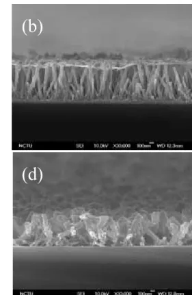 Fig. 5 XRD of MgO-coated ZnO nanorods annealed in various atmospheres. 