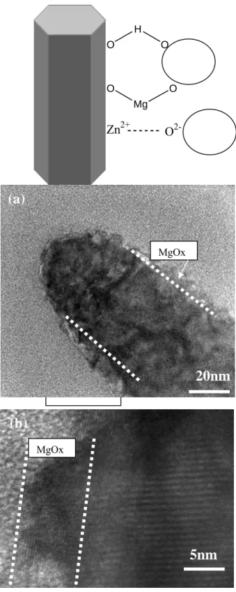 Fig. 6 (a) Model of bonding between MgO coating particles and surface of ZnO  nanorods