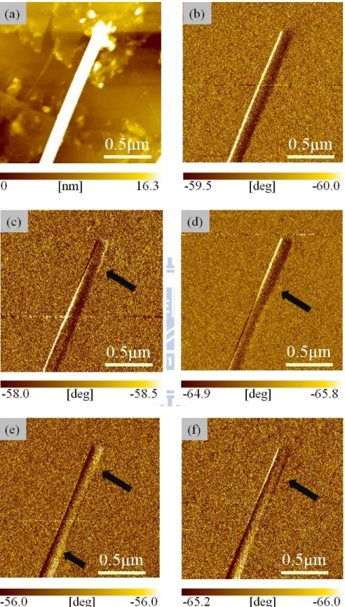圖 4-3    (a)為奈米線地貌圖(線徑約 78 nm)；(b-f)為相同掃描參數下，反覆取得影 像會磁疇反轉的奈米線相位圖。 
