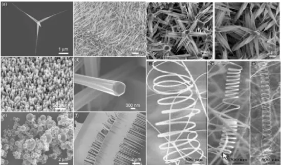 Fig. 1.2 Representative scanning electron microscopy images of various ZnO nanostructure  morphologies [4]