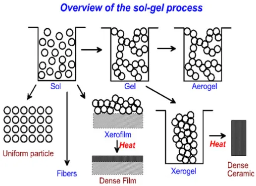 Fig. 2-1 Schematic of the rotes that one could follow within the scope of sol-gel processing [8]
