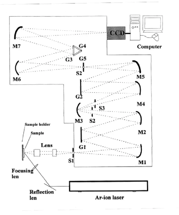 Figure 3-4 Raman detection system. 