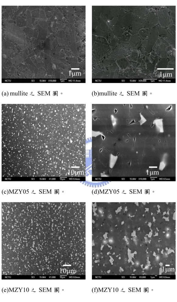 Fig. 4-2 各組成試片之 SEM 觀察圖。 