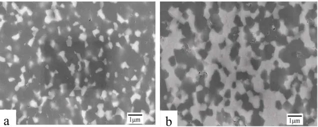 Fig. 2.4    Secondary electron images of the as hot-pressed (a) MZY15  and (b) MZY40.  The bright phase is PSZ, while the dark phase is  mullite