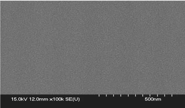 Fig. 3.2-1 Plane view of SEM with sample fabricated by using the solution of 0.3 mole  concentration 