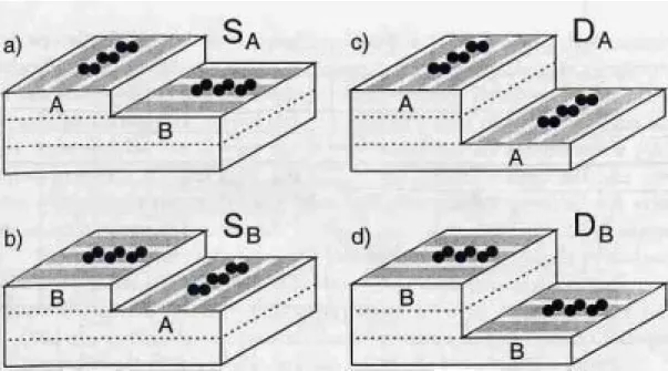 圖 1.2-9：S A 、 S B 是沿著 Si(100)平面切較小角度，高度相差一層原子距離；