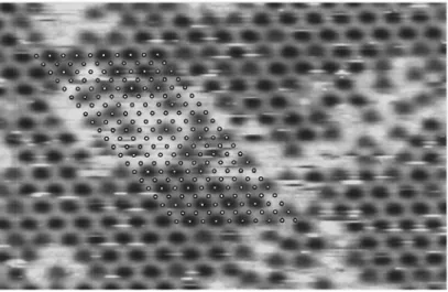 Figure 1.15    STM topograph of the Ru(0001)  surface after exposure  of 1.5 L of NO at  room temperature