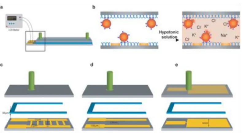 Figure  1-4.  Microfluidic  devices  and  the  experimental  set  up  for  impedance  spectroscopy measurement