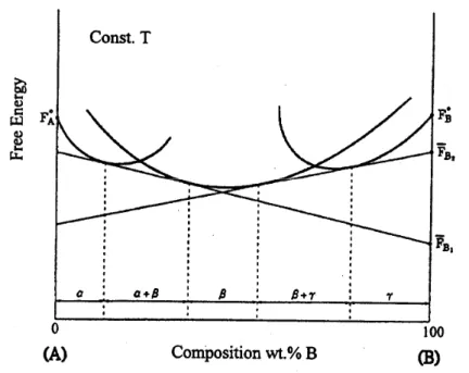 Fig. 2-9.  定溫下 α、β 及 γ 相的自由能對組成之曲線圖。 