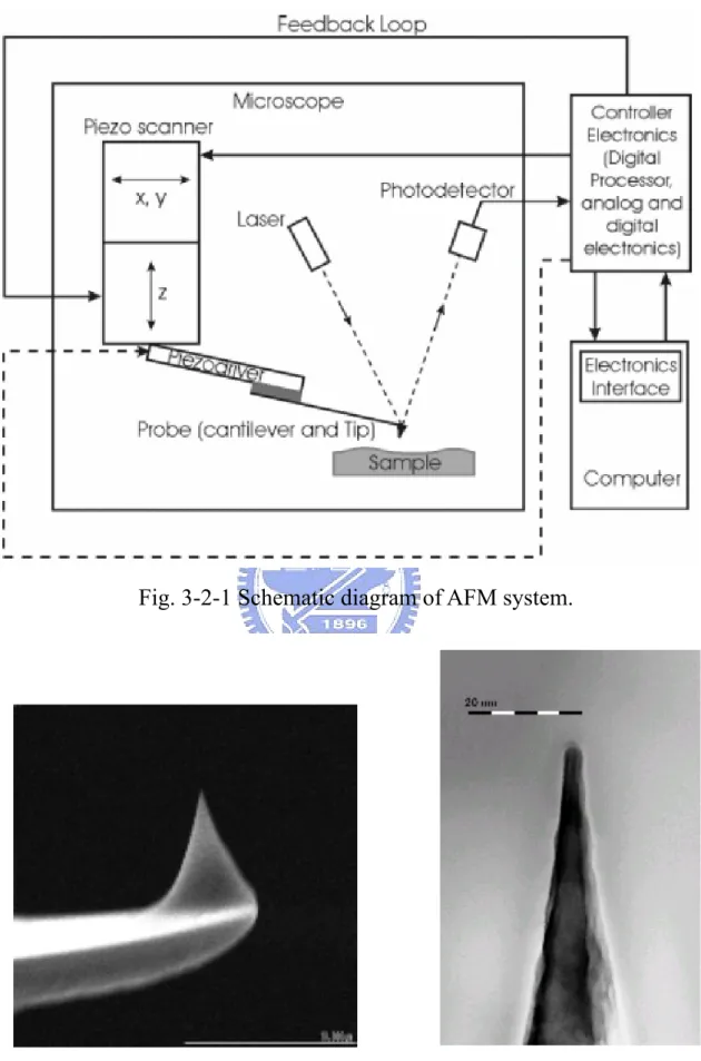 Fig. 3-2-1 Schematic diagram of AFM system. 