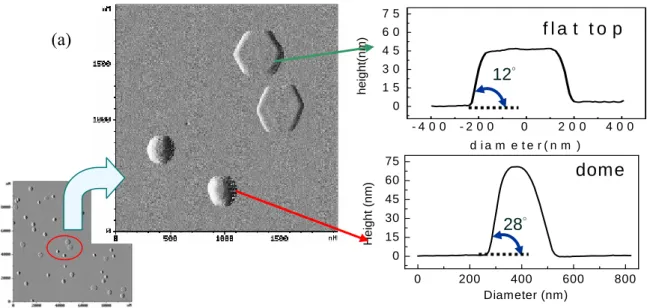 Fig. 4-2-3. (a)AFM images of two types 3D InN dots grown at 4 ML coverage. 