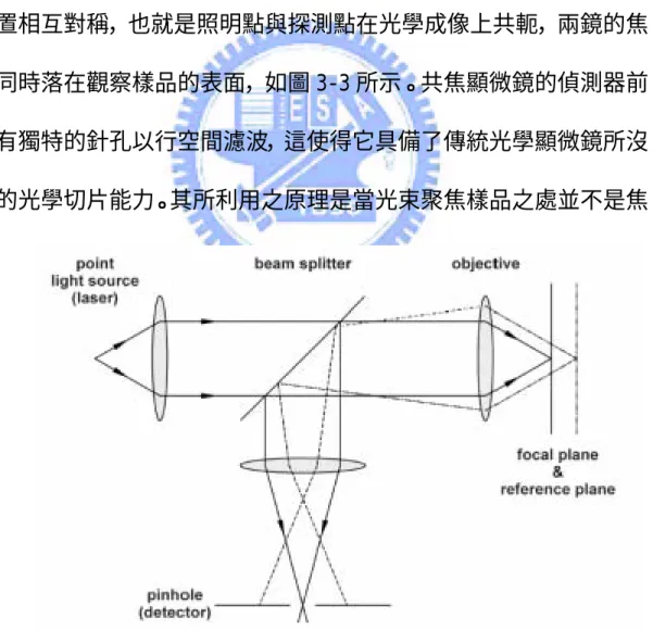 圖 3-3:共焦顯微鏡的原理 