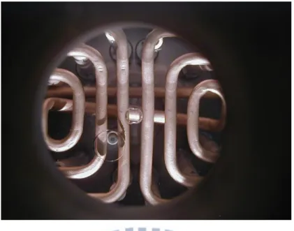 Fig. 2.5 RF-Coil and lightpipe 