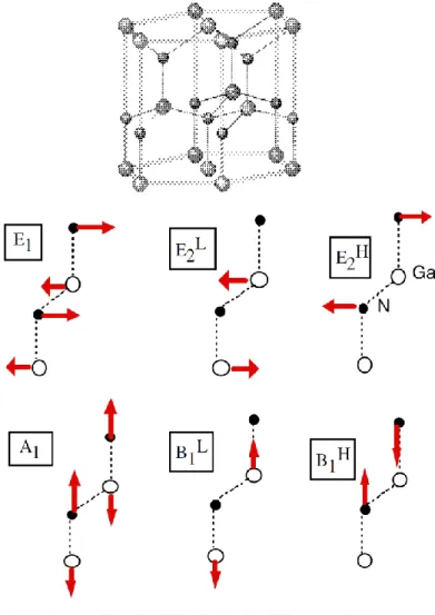 Fig.  2.2  :  Optical  phonon  modes  in  the  wurtzite  structure.  There  are  two  types  of  the  E 2 -  and  B 1 -type  modes  that  are  distinguished  by  superscripts  L  and  H
