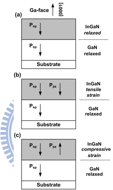 Fig.  2.5:  The  directions  of  the  P SP   and  P PE   in  Ga-polar  strained  and  relaxed  InGaN/GaN heterostructures
