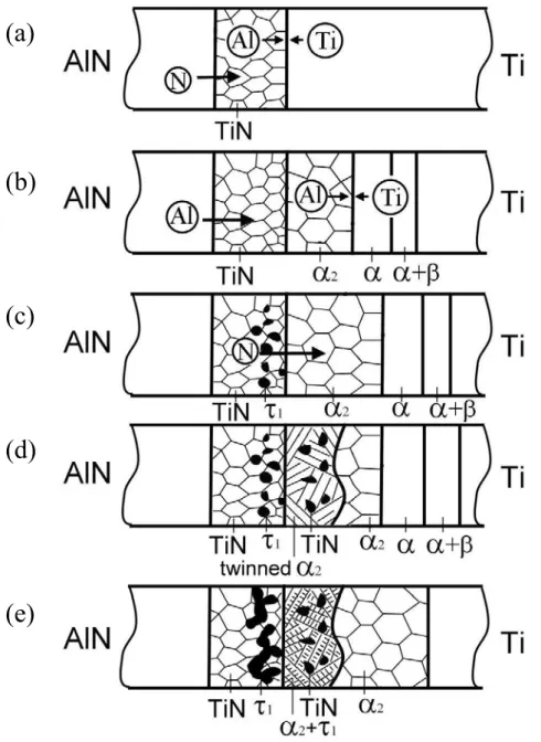 Fig. 2. 6.  Microstructural development in the AlN/Ti diffusion couple after  annealing at 1000 o C for 0.1-36 h; (a) formation of the δ-TiN layer; (b) formation  of the α 2 -Ti 3 Al layer and various titanium aluminides; (c) formation of τ 1 -Ti 3 AlN  in