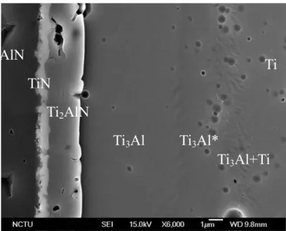Fig. 8 SEM micrograph of the cross section between Aluminum  Nitride and Titanium after reaction at 1400°C for 0.5 hours