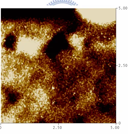 Figure 3-7. AFM image of Ti(200Å)/Al(1000  Å)/W(300 Å) after annealed at 900  o C 30s