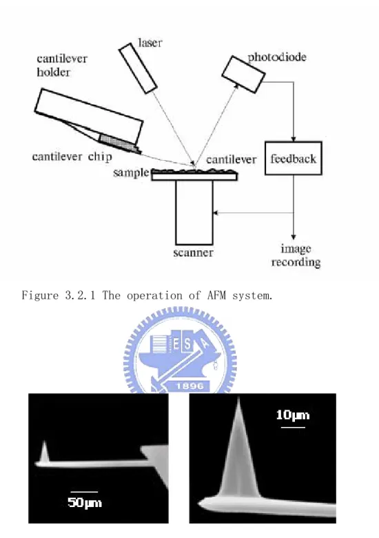 Figure 3.2.1 The operation of AFM system. 