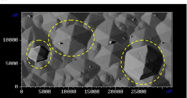 Figure 4.1.1 (a) 2-D view, and (b) 3-D oblique view of Sample A probed 