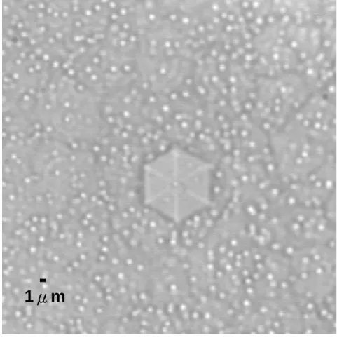 圖 4-1-1   GaN disks 於高倍率光學顯微鏡之影像 