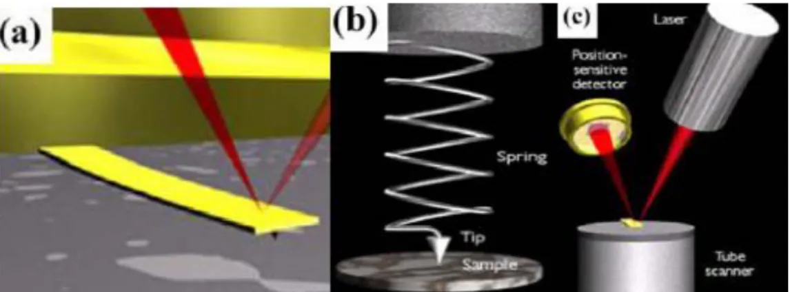 Fig. 3.3 Concept of AFM and the optical lever: (a) a cantilever touching a sample, 