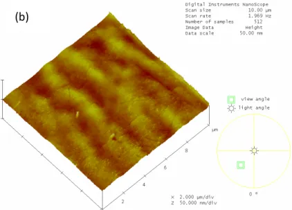 圖 4-19  Sample 12 AFM(a) 10X10um 2D 及粗糙度(b)10X10um 3D 圖 