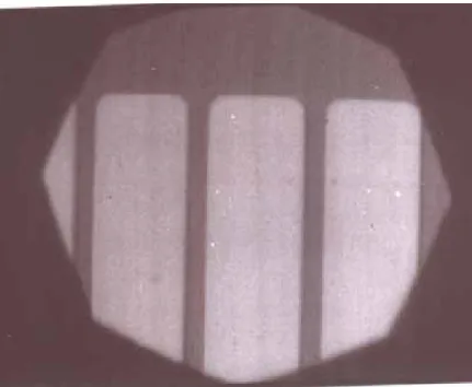 Fig. 3-1 Optical microscope (OM) images of the Ni metal masks. This is done after  lift-off process was performed