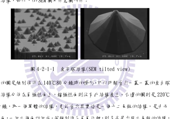 圖 4-2-1-1  金字塔結構(SEM tilted view) 