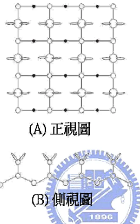 圖 1.3  Si(100)表面重構前的正視與側視圖(圓圈愈小表示為愈內層的原子) 