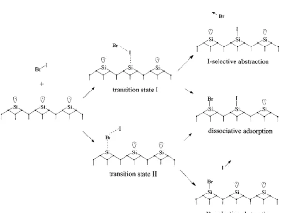 圖 1.13  IBr 吸附反應(I-selective abstraction)的樹狀圖(取自論文[5]) 