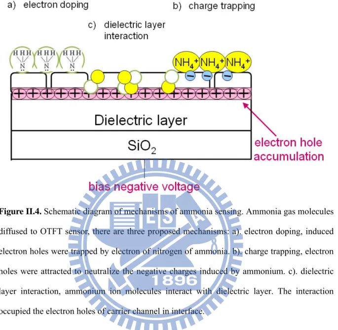 Figure II.4. Schematic diagram of mechanisms of ammonia sensing. Ammonia gas molecules  diffused to OTFT sensor, there are three proposed mechanisms: a)