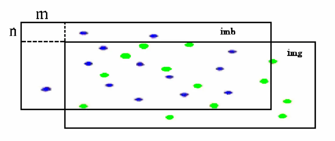 圖 2-3  imb、img 比對的方式  圖 2-4  將綠色點位移(m,n)後與藍色點重疊(matching)的情況  0 5 10 15 20 250510152025 0 2 4 6 8 10 12 14 160246810121416x (px)y(px) C(m,n) 圖 2-5  互相關計算所得之 C(m,n)分佈示意圖 