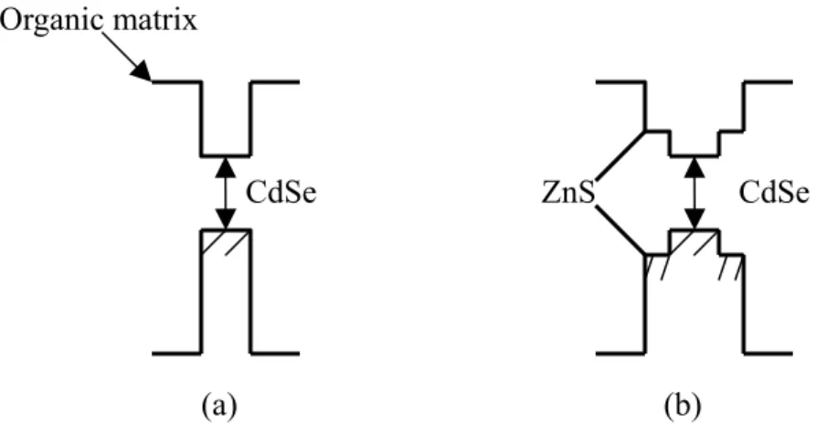 圖 2-2 TOPO 修飾奈米粒子表面之可能模型 CdSe 