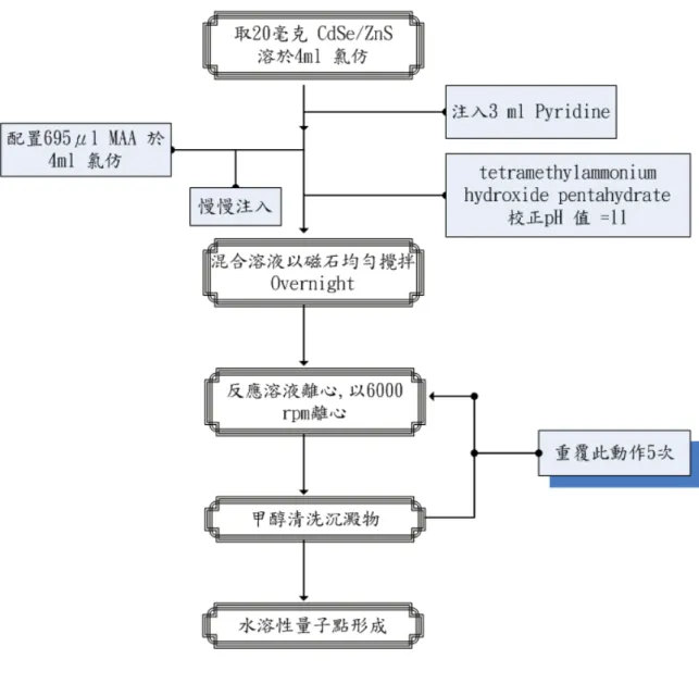 圖 3-3 CdSe / ZnS-MAA 之合成流程圖 