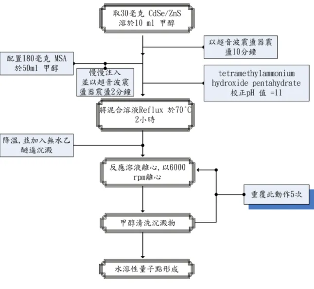 圖 3-4 CdSe / ZnS-MSA 之合成流程圖 