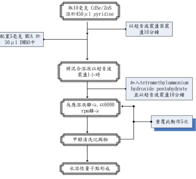 圖 3-5 兩步驟 (Two-Stage)合成 CdSe / ZnS-MUA 之合成流程圖 