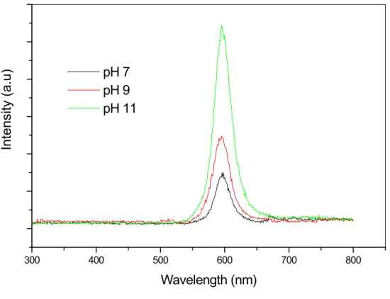 圖 4-8 pH  值對水溶性 CdSe/ZnS 量子點螢光光譜效應之比較 圖 4-9 不同比例吡啶修飾 CdSe/ZnS 量子點螢光光譜之比較300400500600700800 pH 7 pH 9 pH 11Intensity (a.u)Wavelength (nm)300400500600700800pH=11 by tetramethylammonium hydroxide pentahydrate adjusted 