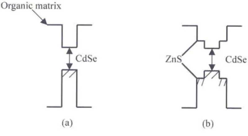 圖 5 (a) CdSe 核結構 (b) CdSe/ZnS 殼核結構之能隙示意圖 10