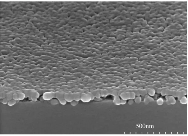 圖 4-4：500℃退火後 Zn 0.9 Mg 0.1 O 薄膜的表面型態圖--Tilt View 500nm 