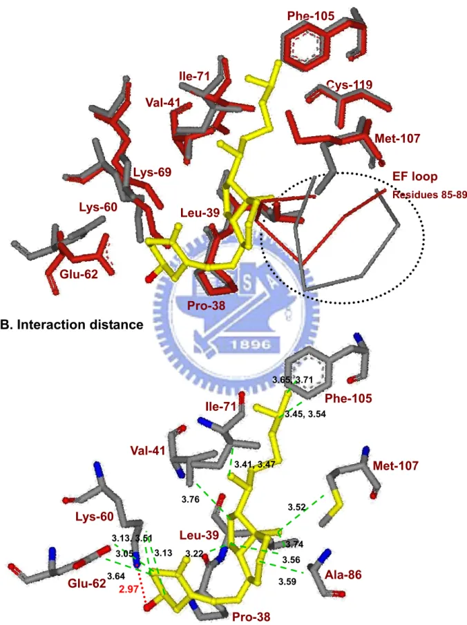 Figure 7  B. Interaction distance  Met-107Phe-105 Ile-71Val-41 Ala-86 Leu-39  Pro-38 Glu-62 Lys-60 2.97  3.65, 3.71 3.45, 3.543.41, 3.473.763.523.743.593.223.563.133.13, 3.51 3.05 3.64 
