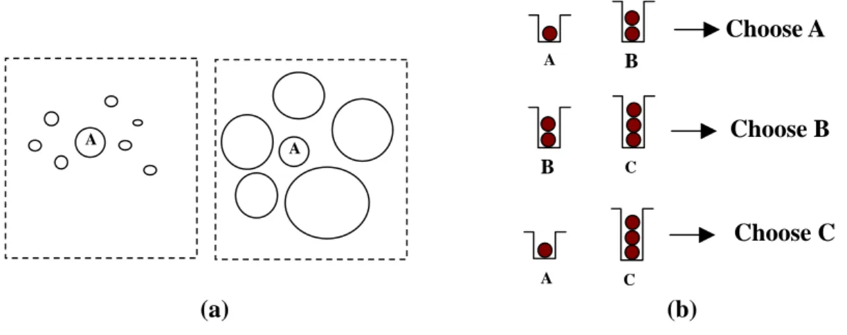 Figure 1.1    Visual background in decision environment (a) Influence of visual  background    (b) Gray jay’s choice 