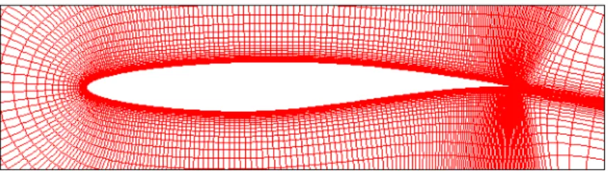 Figure 3-3. Typical grid generation prevalent in computational fluid dynamics  (CFD) analysis