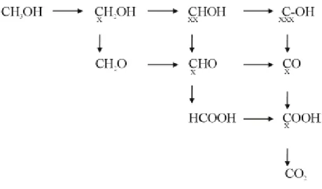 Figure 2-4 Reaction scheme for methanol oxidation showing all the possible reaction products and possible  reaction paths