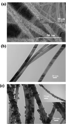 Figure  2-14  SEM  and  TEM  micrographs  of  SnO 2   NWs  grown  on  carbon  fibers  of  carbon  paper  by  thermal  evaporation  method