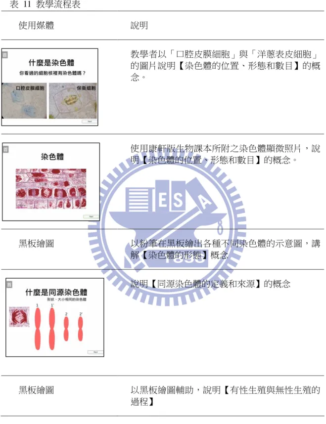 表  11  教學流程表  使用媒體  說明  教學者以「口腔皮膜細胞」與「洋蔥表皮細胞」 的圖片說明【染色體的位置、形態和數目】的概 念。  使用康軒版生物課本所附之染色體顯微照片，說 明【染色體的位置、形態和數目】的概念。  黑板繪圖  以粉筆在黑板繪出各種不同染色體的示意圖，講 解【染色體的形態】概念  說明【同源染色體的定義和來源】的概念  黑板繪圖  以黑板繪圖輔助，說明【有性生殖與無性生殖的 過程】 